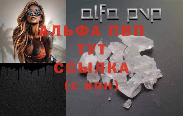 индика Аркадак