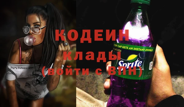 индика Аркадак