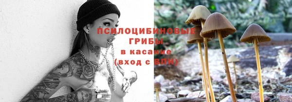 spice Алексин