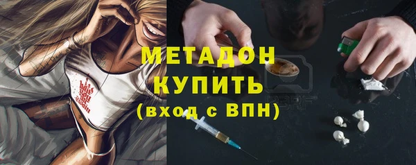 индика Аркадак
